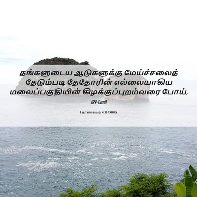 Picture 06 - 1 நாளாகமம் 4:39 TAMIRV - தங்களுடைய - Bible Verse Picture