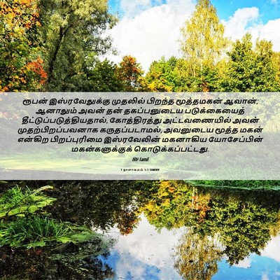 Picture 06 - 1 நாளாகமம் 5:1 TAMIRV - ரூபன் - Bible Verse Picture