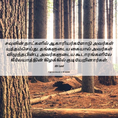 Picture 06 - 1 நாளாகமம் 5:10 TAMIRV - சவுலின் நாட்களில் - Bible Verse Picture