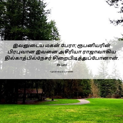 Picture 06 - 1 நாளாகமம் 5:6 TAMIRV - இவனுடைய மகன் பேரா; - Bible Verse Picture