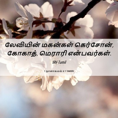 Picture 06 - 1 நாளாகமம் 6:1 TAMIRV - லேவியின் மகன்கள் - Bible Verse Picture