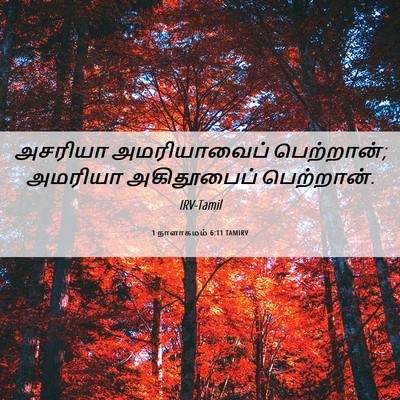 Picture 06 - 1 நாளாகமம் 6:11 TAMIRV - அசரியா அமரியாவைப் - Bible Verse Picture