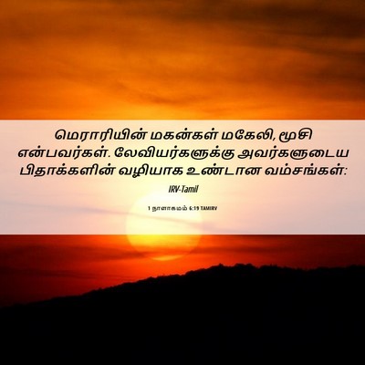 Picture 06 - 1 நாளாகமம் 6:19 TAMIRV - மெராரியின் - Bible Verse Picture