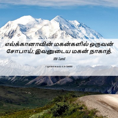 Picture 06 - 1 நாளாகமம் 6:26 TAMIRV - எல்க்கானாவின் - Bible Verse Picture