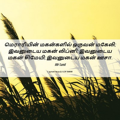 Picture 06 - 1 நாளாகமம் 6:29 TAMIRV - மெராரியின் - Bible Verse Picture