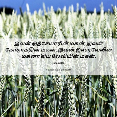Picture 06 - 1 நாளாகமம் 6:38 TAMIRV - இவன் இத்சேயாரின் - Bible Verse Picture
