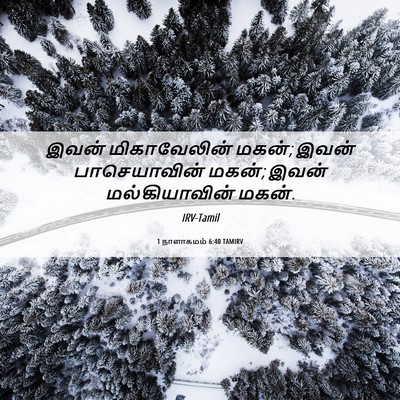 Picture 06 - 1 நாளாகமம் 6:40 TAMIRV - இவன் மிகாவேலின் - Bible Verse Picture