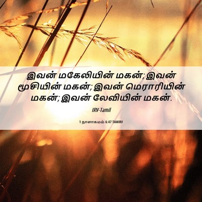 Picture 06 - 1 நாளாகமம் 6:47 TAMIRV - இவன் மகேலியின் - Bible Verse Picture