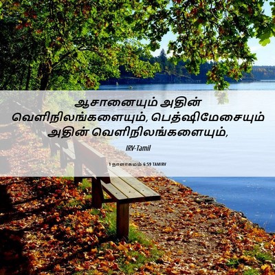 Picture 06 - 1 நாளாகமம் 6:59 TAMIRV - ஆசானையும் அதின் - Bible Verse Picture