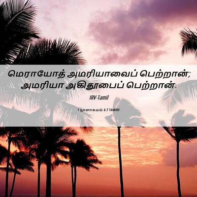 Picture 06 - 1 நாளாகமம் 6:7 TAMIRV - மெராயோத் - Bible Verse Picture