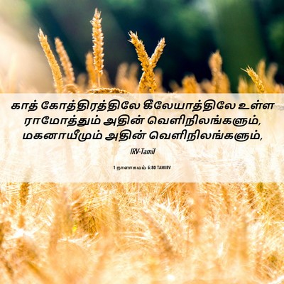 Picture 06 - 1 நாளாகமம் 6:80 TAMIRV - காத் - Bible Verse Picture