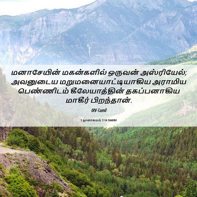 Picture 06 - 1 நாளாகமம் 7:14 TAMIRV - மனாசேயின் - Bible Verse Picture