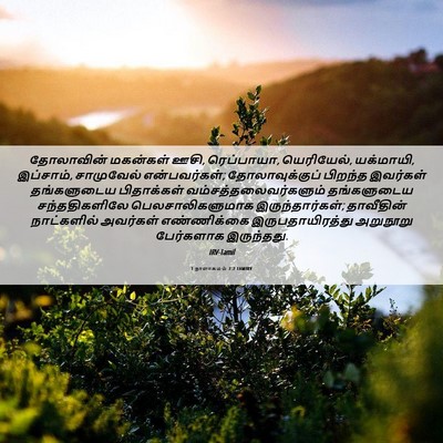 Picture 06 - 1 நாளாகமம் 7:2 TAMIRV - தோலாவின் மகன்கள் - Bible Verse Picture