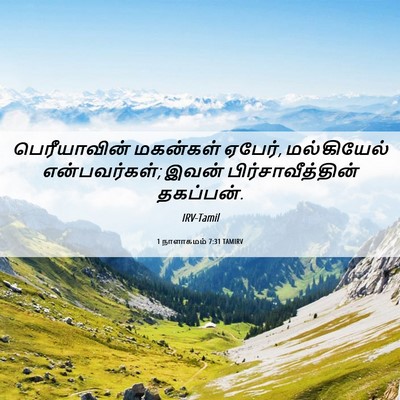 Picture 06 - 1 நாளாகமம் 7:31 TAMIRV - பெரீயாவின் - Bible Verse Picture