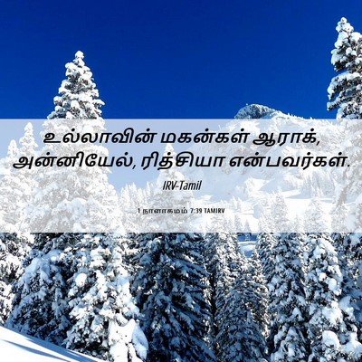 Picture 06 - 1 நாளாகமம் 7:39 TAMIRV - உல்லாவின் மகன்கள் - Bible Verse Picture