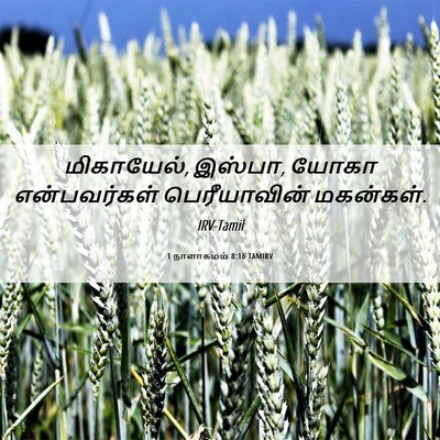 Picture 06 - 1 நாளாகமம் 8:16 TAMIRV - மிகாயேல், இஸ்பா, - Bible Verse Picture