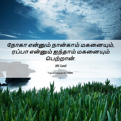 Picture 06 - 1 நாளாகமம் 8:2 TAMIRV - நோகா என்னும் - Bible Verse Picture