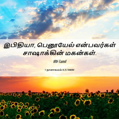Picture 06 - 1 நாளாகமம் 8:25 TAMIRV - இபிதியா, பெனூயேல் - Bible Verse Picture