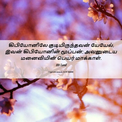 Picture 06 - 1 நாளாகமம் 8:29 TAMIRV - கிபியோனிலே - Bible Verse Picture