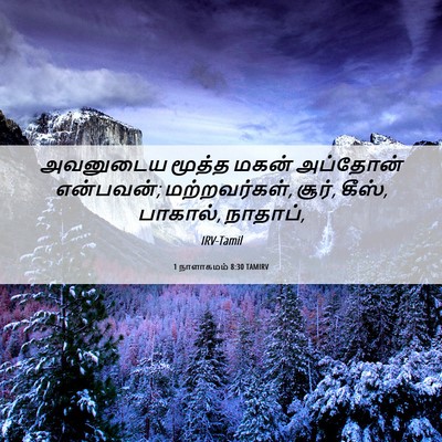 Picture 06 - 1 நாளாகமம் 8:30 TAMIRV - அவனுடைய மூத்த - Bible Verse Picture