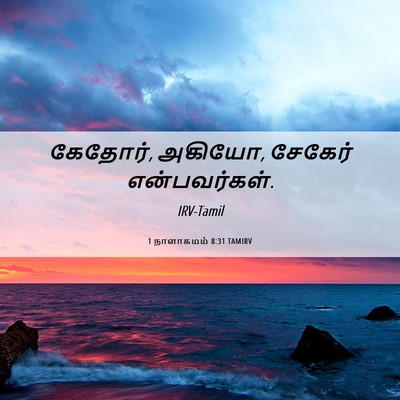 Picture 06 - 1 நாளாகமம் 8:31 TAMIRV - கேதோர், அகியோ, - Bible Verse Picture