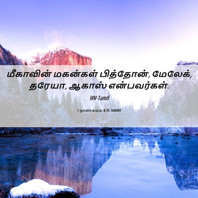 Picture 06 - 1 நாளாகமம் 8:35 TAMIRV - மீகாவின் மகன்கள் - Bible Verse Picture