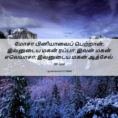 Picture 06 - 1 நாளாகமம் 8:37 TAMIRV - மோசா பினியாவைப் - Bible Verse Picture