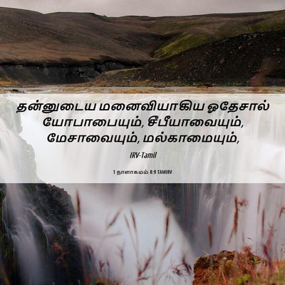 Picture 06 - 1 நாளாகமம் 8:9 TAMIRV - தன்னுடைய - Bible Verse Picture