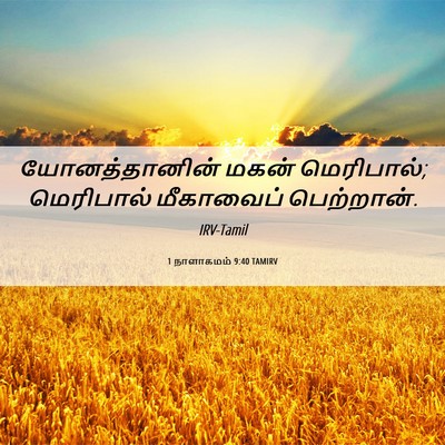 Picture 06 - 1 நாளாகமம் 9:40 TAMIRV - யோனத்தானின் மகன் - Bible Verse Picture