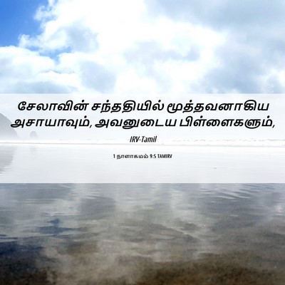 Picture 06 - 1 நாளாகமம் 9:5 TAMIRV - சேலாவின் - Bible Verse Picture