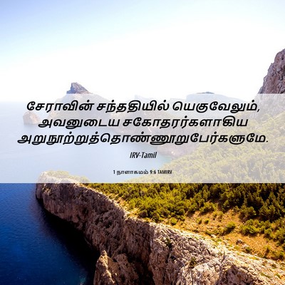 Picture 06 - 1 நாளாகமம் 9:6 TAMIRV - சேராவின் - Bible Verse Picture