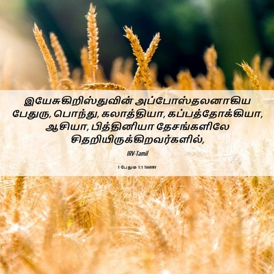 Picture 06 - 1 பேதுரு 1:1 TAMIRV -  - Bible Verse Picture