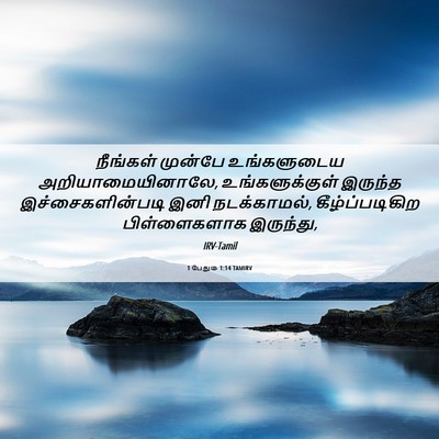Picture 06 - 1 பேதுரு 1:14 TAMIRV - நீங்கள் முன்பே - Bible Verse Picture