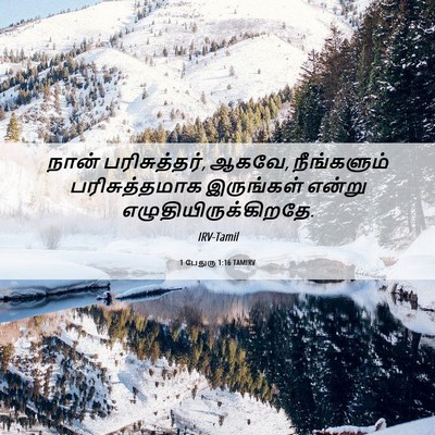 Picture 06 - 1 பேதுரு 1:16 TAMIRV - நான் பரிசுத்தர், - Bible Verse Picture