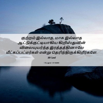 Picture 06 - 1 பேதுரு 1:19 TAMIRV - குற்றம் இல்லாத, - Bible Verse Picture