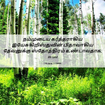 Picture 06 - 1 பேதுரு 1:3 TAMIRV - நம்முடைய - Bible Verse Picture