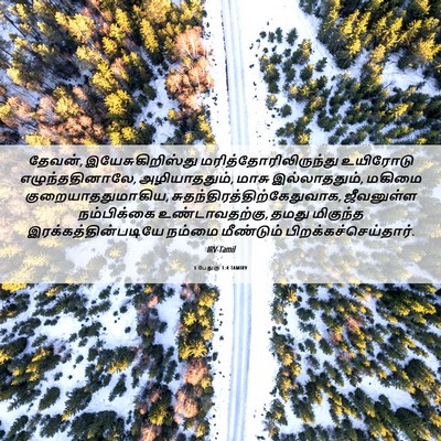 Picture 06 - 1 பேதுரு 1:4 TAMIRV - தேவன், - Bible Verse Picture