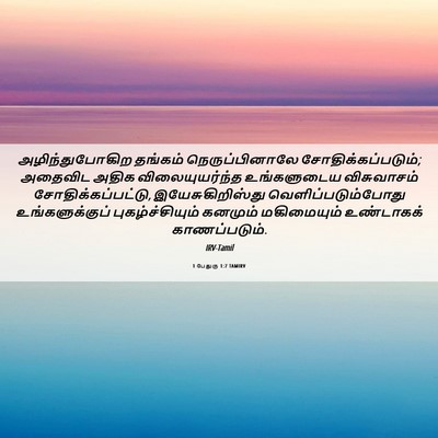 Picture 06 - 1 பேதுரு 1:7 TAMIRV - அழிந்துபோகிற - Bible Verse Picture