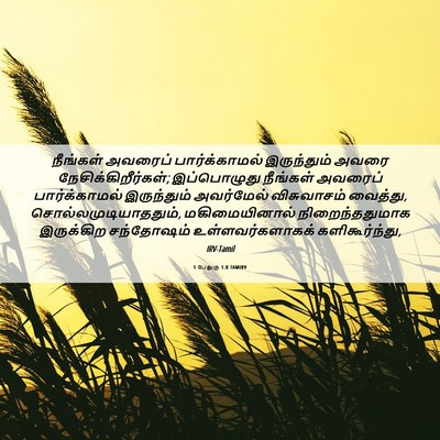 Picture 06 - 1 பேதுரு 1:8 TAMIRV - நீங்கள் அவரைப் - Bible Verse Picture