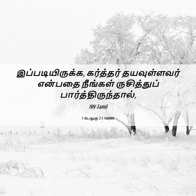 Picture 06 - 1 பேதுரு 2:1 TAMIRV - இப்படியிருக்க, - Bible Verse Picture