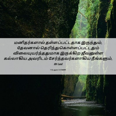 Picture 06 - 1 பேதுரு 2:4 TAMIRV - மனிதர்களால் - Bible Verse Picture