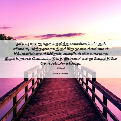 Picture 06 - 1 பேதுரு 2:6 TAMIRV - அப்படியே: “இதோ, - Bible Verse Picture