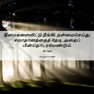 Picture 06 - 1 பேதுரு 3:11 TAMIRV - தீமைகளைவிட்டு - Bible Verse Picture