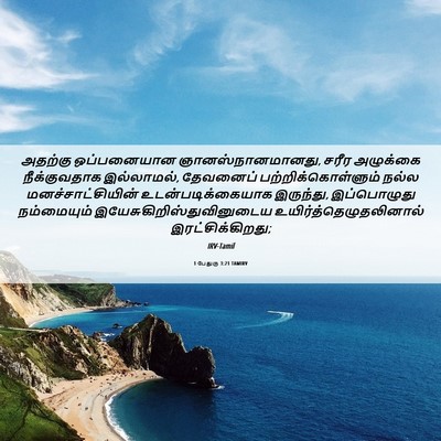 Picture 06 - 1 பேதுரு 3:21 TAMIRV - அதற்கு ஒப்பனையான - Bible Verse Picture