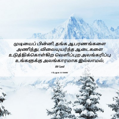Picture 06 - 1 பேதுரு 3:3 TAMIRV - முடியைப் பின்னி, - Bible Verse Picture
