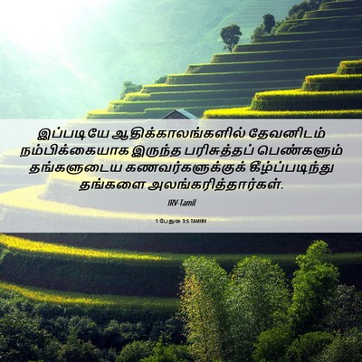 Picture 06 - 1 பேதுரு 3:5 TAMIRV - இப்படியே - Bible Verse Picture