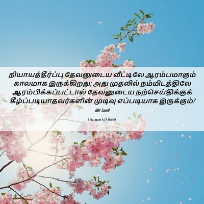 Picture 06 - 1 பேதுரு 4:17 TAMIRV - நியாயத்தீர்ப்பு - Bible Verse Picture