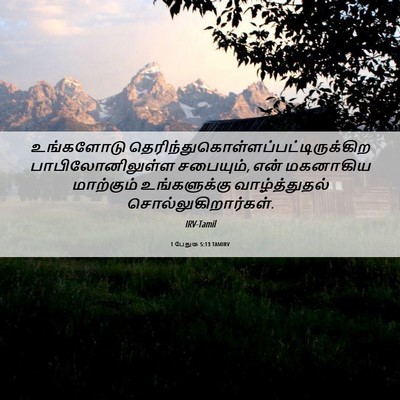 Picture 06 - 1 பேதுரு 5:13 TAMIRV - உங்களோடு - Bible Verse Picture