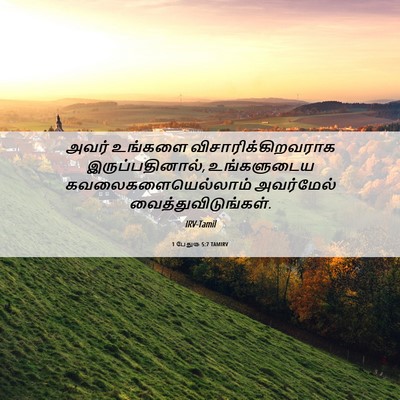 Picture 06 - 1 பேதுரு 5:7 TAMIRV - அவர் உங்களை - Bible Verse Picture