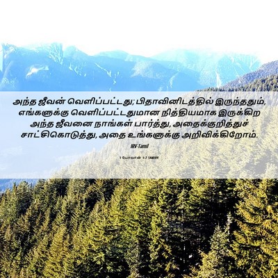 Picture 06 - 1 யோவான் 1:2 TAMIRV - அந்த ஜீவன் - Bible Verse Picture